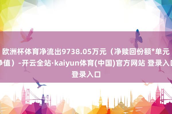 欧洲杯体育净流出9738.05万元（净赎回份额*单元净值）-开云全站·kaiyun体育(中国)官方网站 登录入口