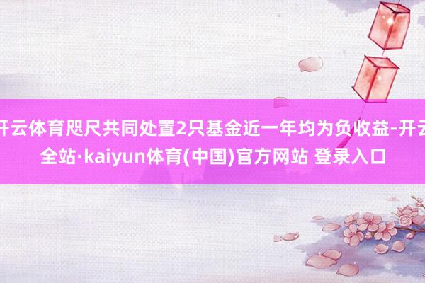 开云体育咫尺共同处置2只基金近一年均为负收益-开云全站·kaiyun体育(中国)官方网站 登录入口