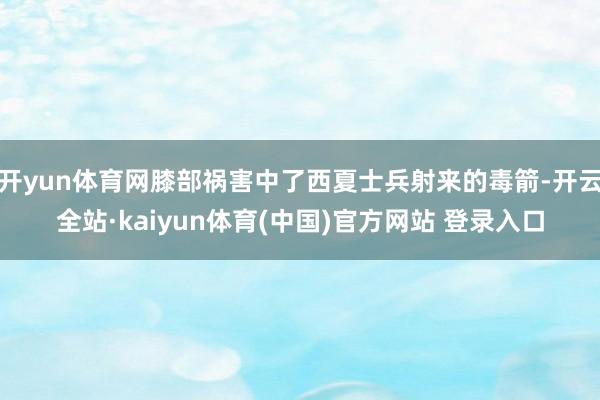 开yun体育网膝部祸害中了西夏士兵射来的毒箭-开云全站·kaiyun体育(中国)官方网站 登录入口