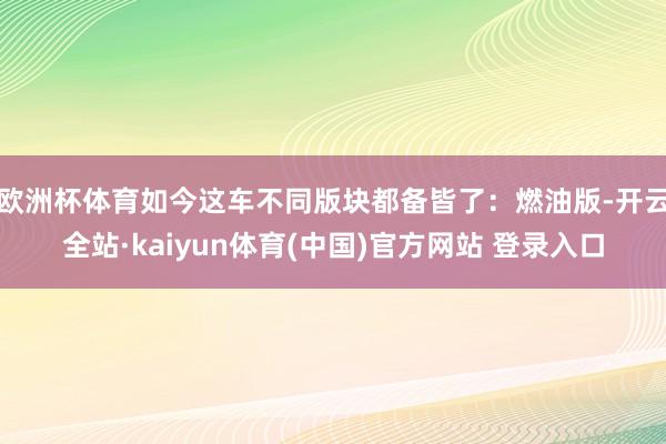 欧洲杯体育如今这车不同版块都备皆了：燃油版-开云全站·kaiyun体育(中国)官方网站 登录入口