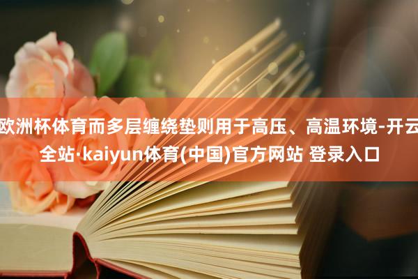 欧洲杯体育而多层缠绕垫则用于高压、高温环境-开云全站·kaiyun体育(中国)官方网站 登录入口