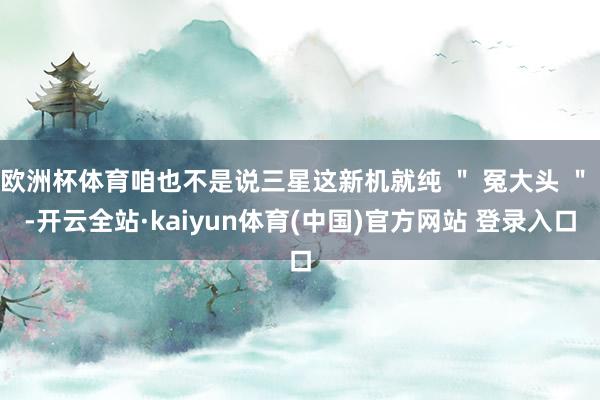 欧洲杯体育咱也不是说三星这新机就纯 ＂ 冤大头 ＂ -开云全站·kaiyun体育(中国)官方网站 登录入口