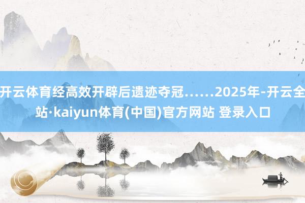 开云体育经高效开辟后遗迹夺冠……2025年-开云全站·kaiyun体育(中国)官方网站 登录入口