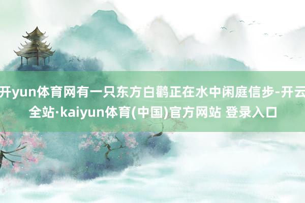开yun体育网有一只东方白鹳正在水中闲庭信步-开云全站·kaiyun体育(中国)官方网站 登录入口
